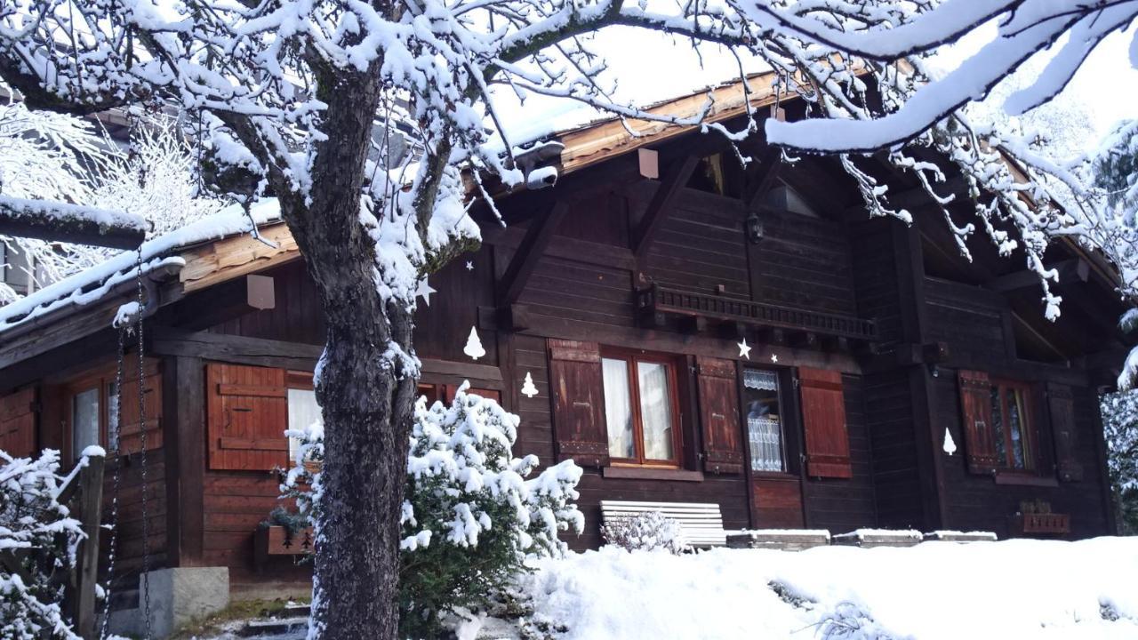 Chalet Des Glaciers Шамоні Екстер'єр фото